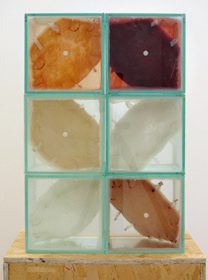 JENNIFER SIREY:  lovelo, 2011