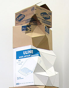 Mai Braun, Tower (Fragile to Clorox), 2006 (detail) 