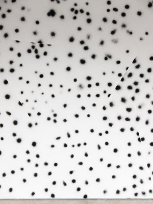 BIll Jenkins, dots, 2011 detail