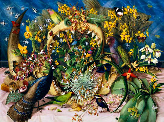 Isabella Kirkland, Collection, 2007, from Taxa, #4 of 6 ikf0701