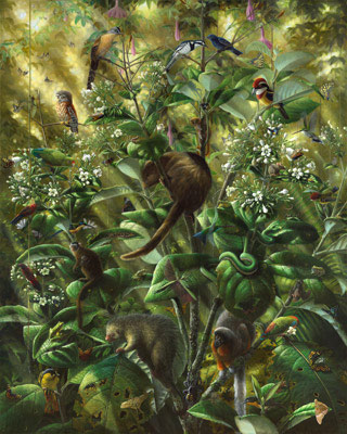 Isabella Kirkland, Nova: Understory, 2007 ikf0702