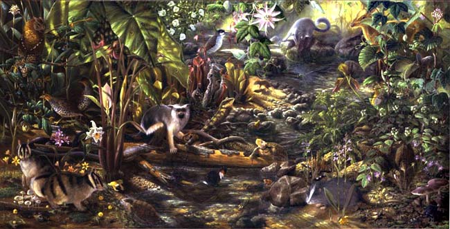 Isabella Kirkland, Nova: Forest Floor, 2007 ikf0703