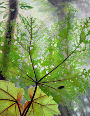 Isabella Kirkland, Leaf, 2010 ikf1002