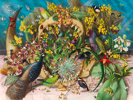 Isabella Kirkland, Collection, 2002 ikf0201