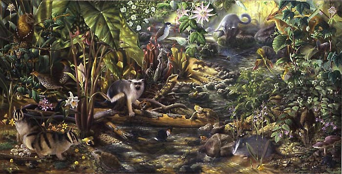 Isabella Kirkland, NOVA: Forest Floor, 2007 ikf0703