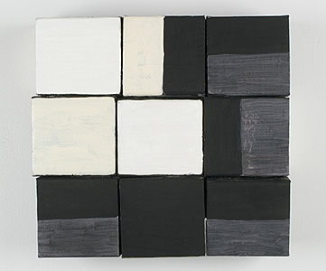 Nancy Shaver, Assortment: black and white, 2006 nsf0609