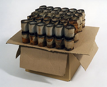 Nancy Shaver, Egg Crates on Cardboard Box, 2006 nsf0619