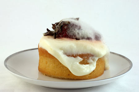 JEANNE DUNNING:  Shortcake with Custard and Strawberry, 2009