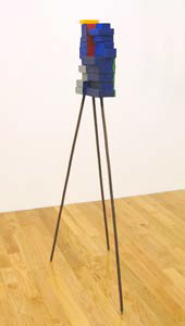 NANCY SHAVER:  Part camera, part painting, part sculpture, 2009 nsf0902
