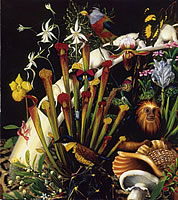 Isabella Kirkland, Taxa book cover